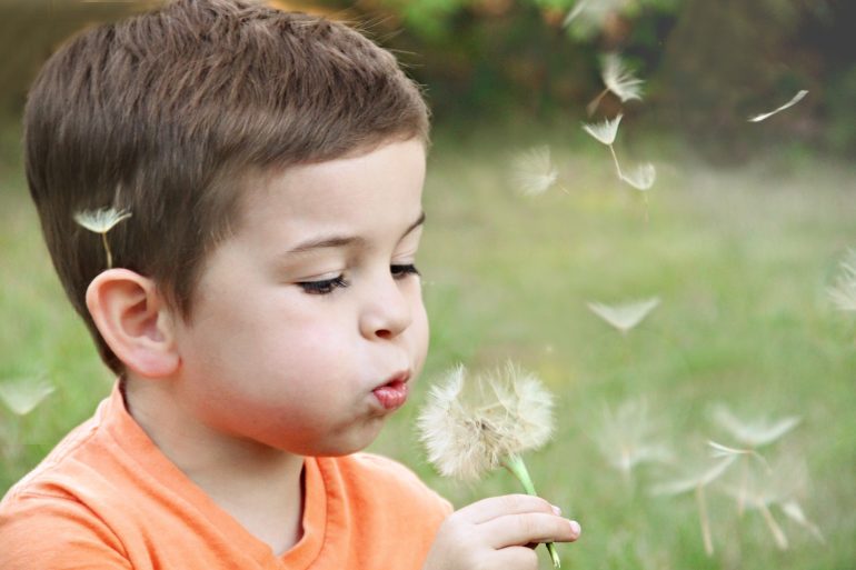 child blowing dandelion clock